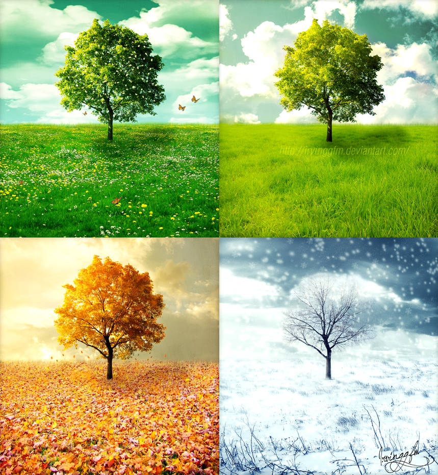 the four seasons vivaldi by irvinggfm d4tj3vc pre