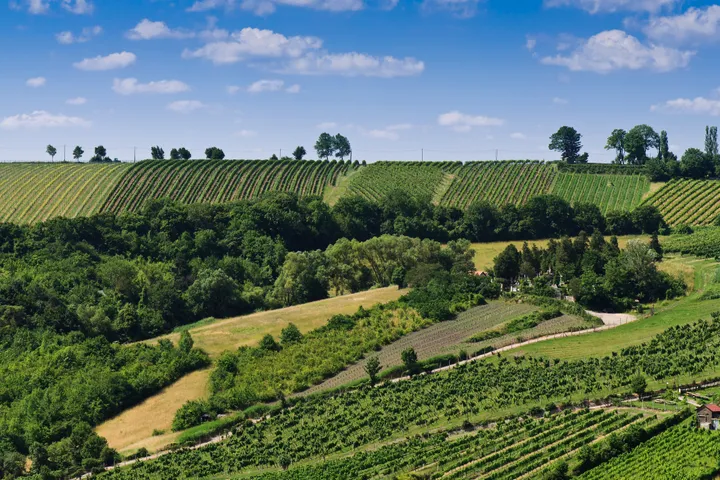 5e42927f250000320033d66b