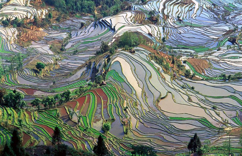 aerial photography yunna china rice fields