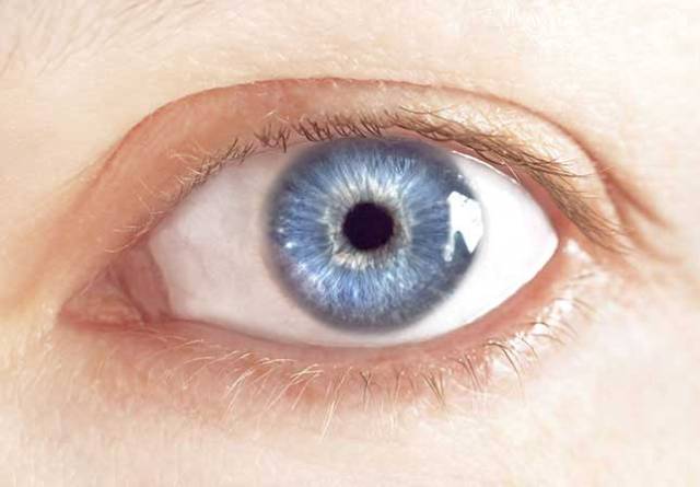 14862320071352824324