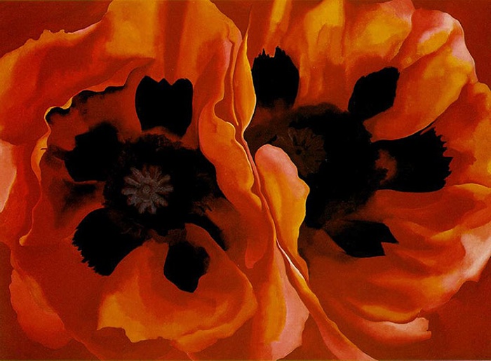 Oriental Poppies by Georg 009