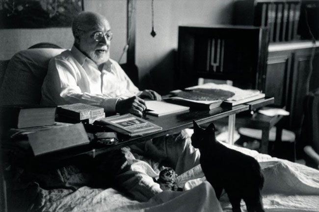 artists and their cats henrimatisse