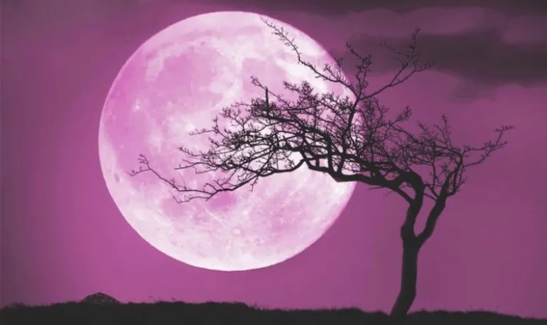 Ροζ σελήνη, 10 τραγούδια με ροζ απόχρωση