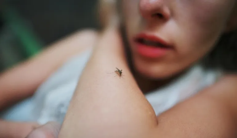 Κουνούπια: 7 λόγοι που τσιμπούν εσάς και όχι τον διπλανό σας