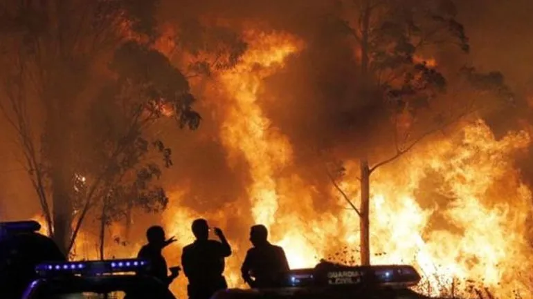Τουλάχιστον 35 νεκροί στην Πορτογαλία από πυρκαγιές