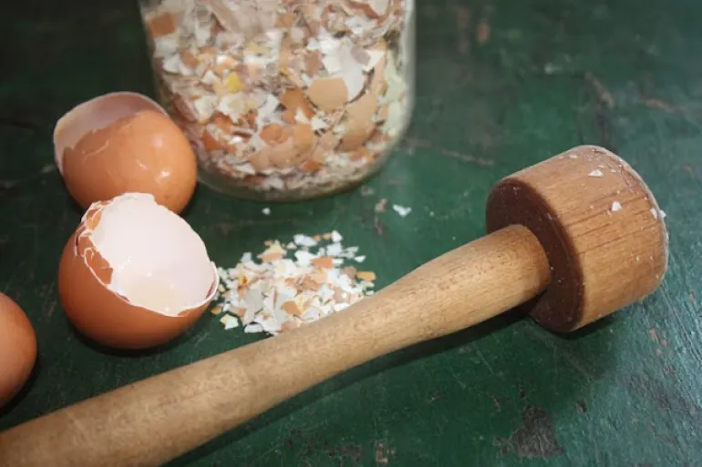 Έξι χρήσεις για το κέλυφος του αυγού που ποτέ δεν έχετε σκεφτεί