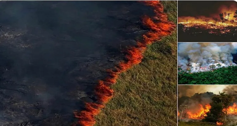 Αμαζόνιος: Η φωτιά κατακαίει το τροπικό δάσος και πνεύμονα της γης, 3 τραγούδια από την Βραζιλία