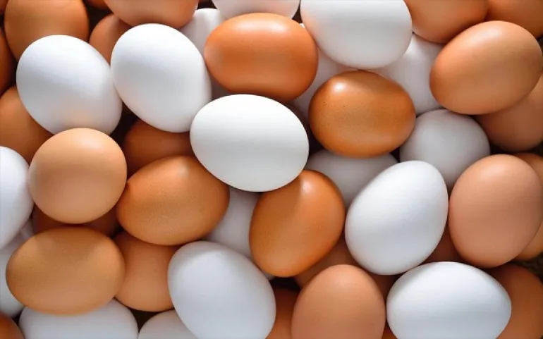 Καφέ και άσπρα αυγά: Ποιες οι διαφορές τους;
