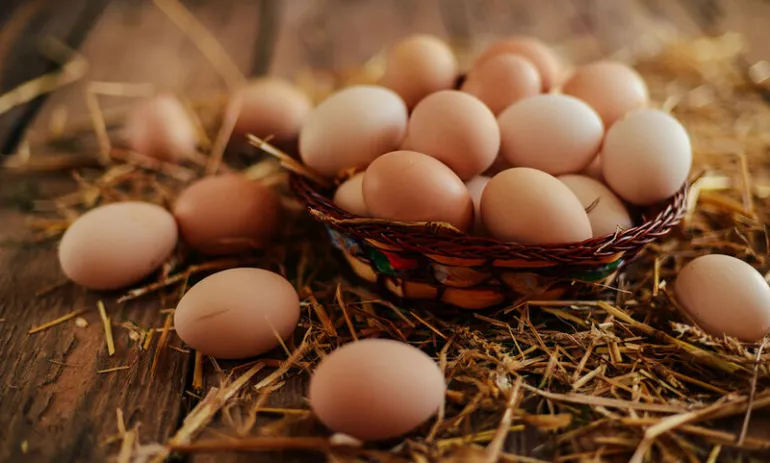 Αυγά: Θερμίδες και γιατί πρέπει να τα εντάξουμε στην διατροφή μας