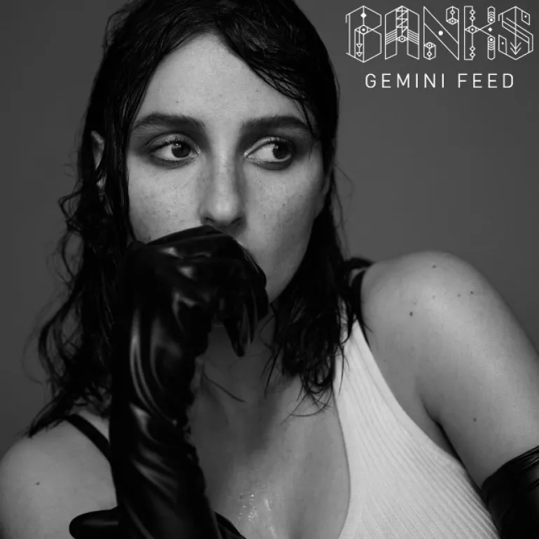 Gemini Feed-Banks
