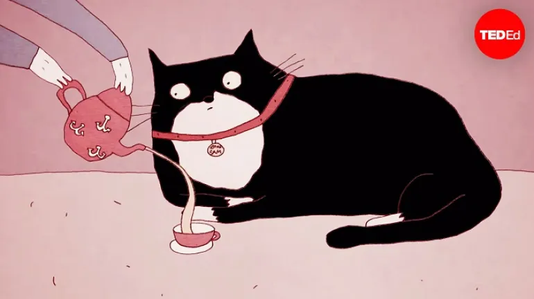 Μια animated ιστορία για τις γάτες: Πώς από άγριο θηρίο κατέληξε στο καναπέ 