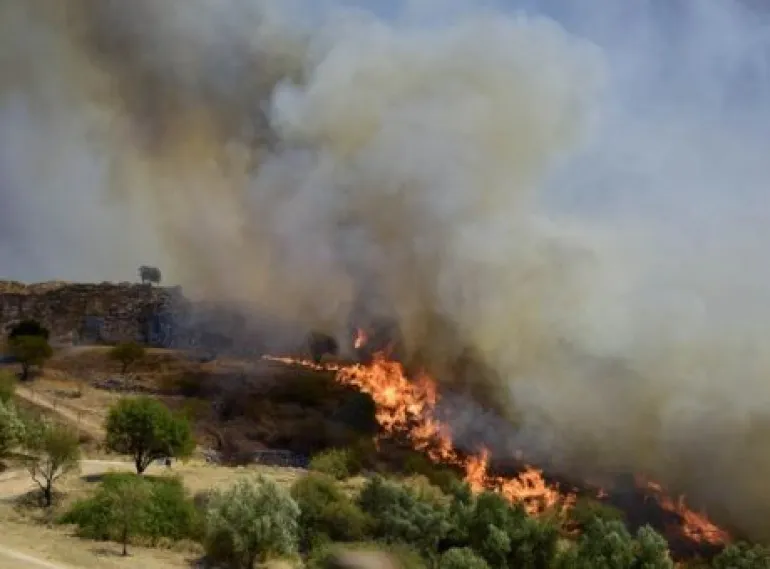 Φωτιά στις Μυκήνες: Δόθηκε μάχη μέσα στον αρχαιολογικό χώρο