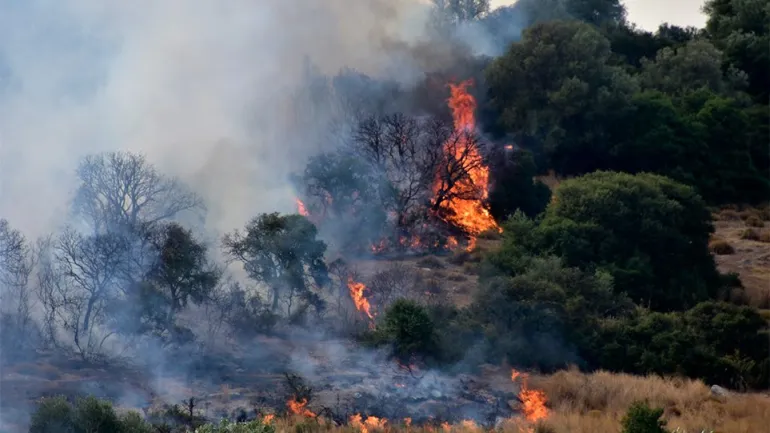 Φωτιά Εύβοια, κατακαίει συμπαγές πευκοδάσος Natura: Σε κατάσταση συναγερμού τρία χωριά