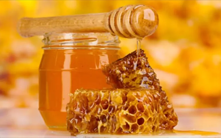 Παγκόσμια Ημέρα των Μελισσών: Μικρές, αλλά κάνουν σπουδαία δουλειά!