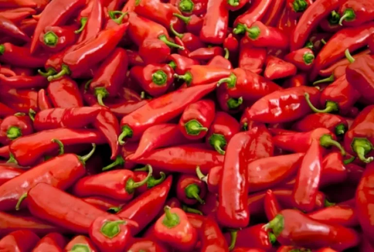 Οι καυτερές πιπεριές μυστικό μακροζωίας 