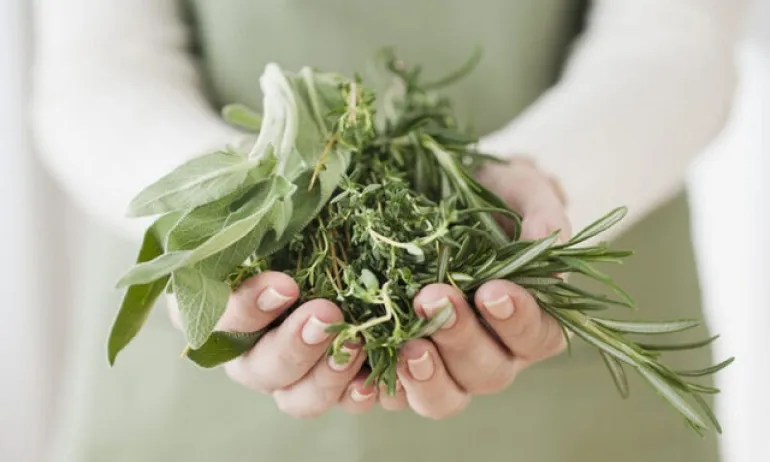 Γνωρίστε τα Προσαρμογόνα: τα νέα βότανα που καταπολεμούν το stress